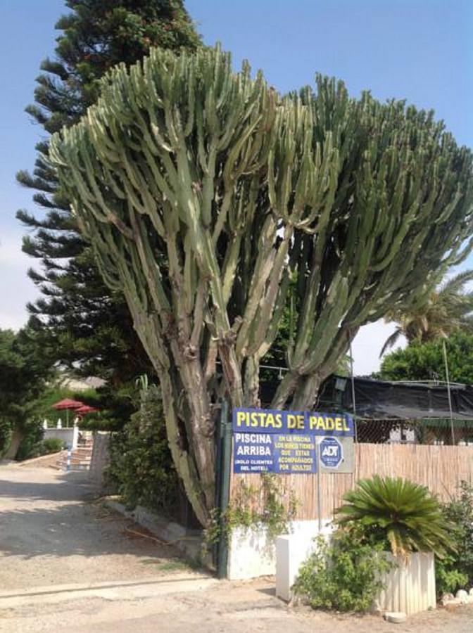 קסטל דה פרו Hotel Iberico מראה חיצוני תמונה